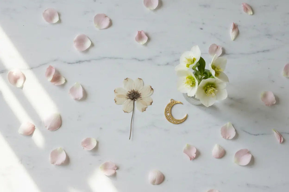 Forgiveness Isn't Forgetting: How to Actually Let Something Go - AakhiraHub