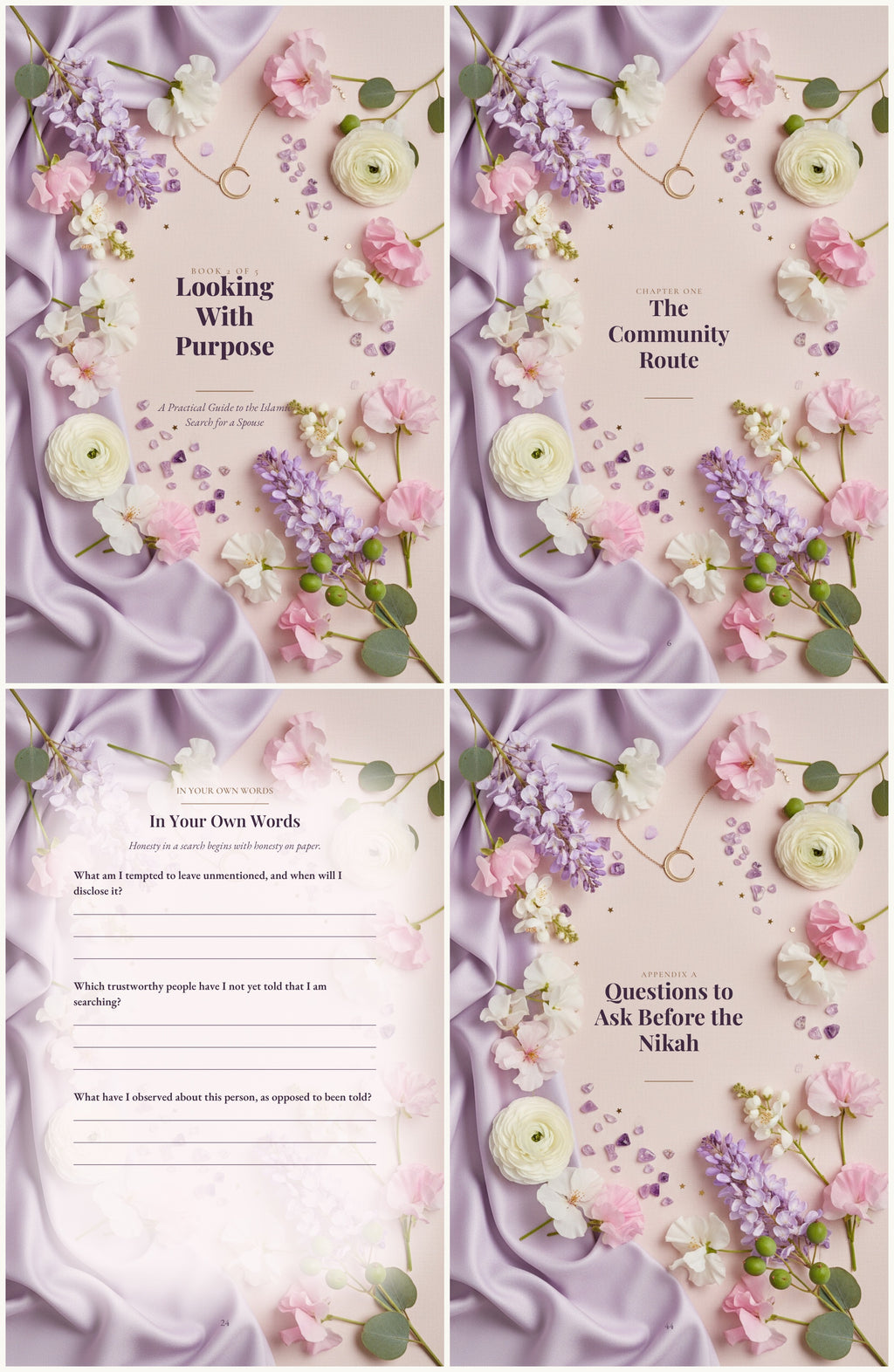 Looking With Purpose look-inside preview — cover, chapter divider, worksheet, and questions appendix
